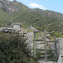 Himalayan Yatra to Bhringhu Maharishi