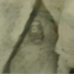 Jeeva Samadhi