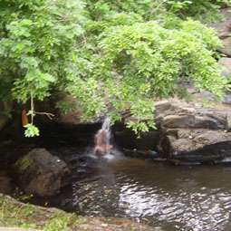 Spiritual Tours to Kumbhakkarai - a meditation aranyam of Siddhars