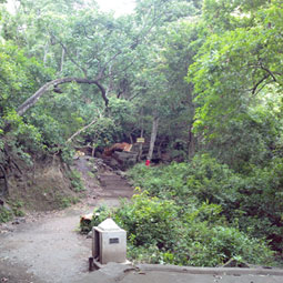 Spiritual Tours to Suruli Hills - The Glowing Beauty